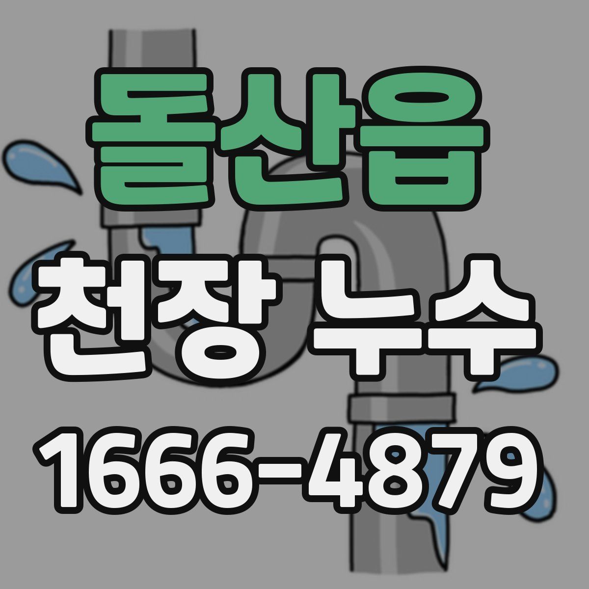 돌산읍 천장 누수