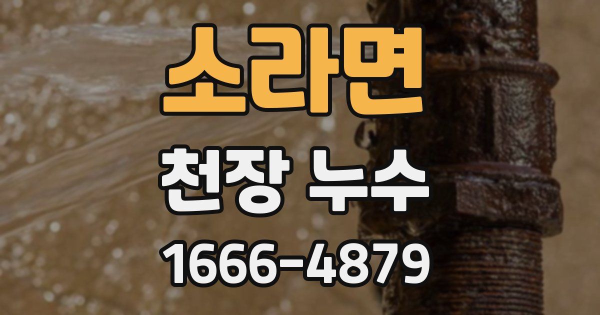 소라면 천장 누수