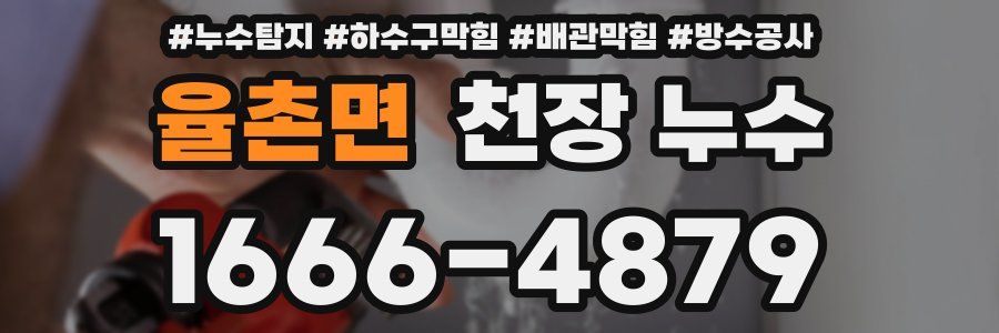율촌면 천장 누수