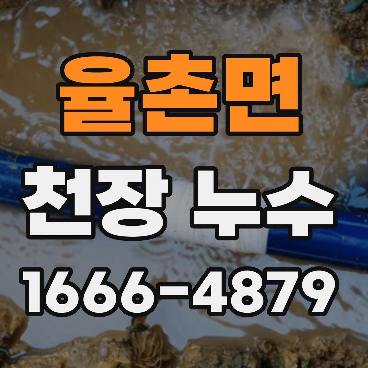 율촌면 천장 누수