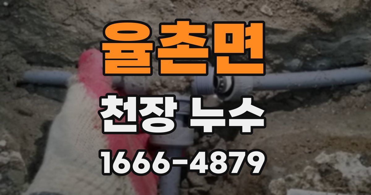 율촌면 천장 누수
