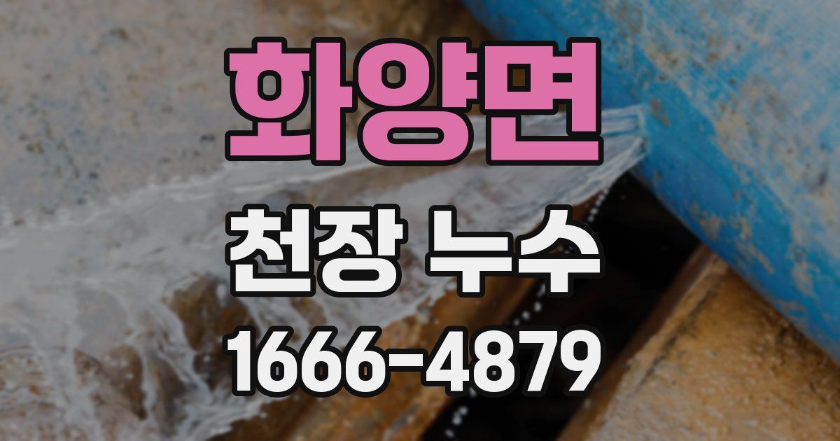 화양면 천장 누수