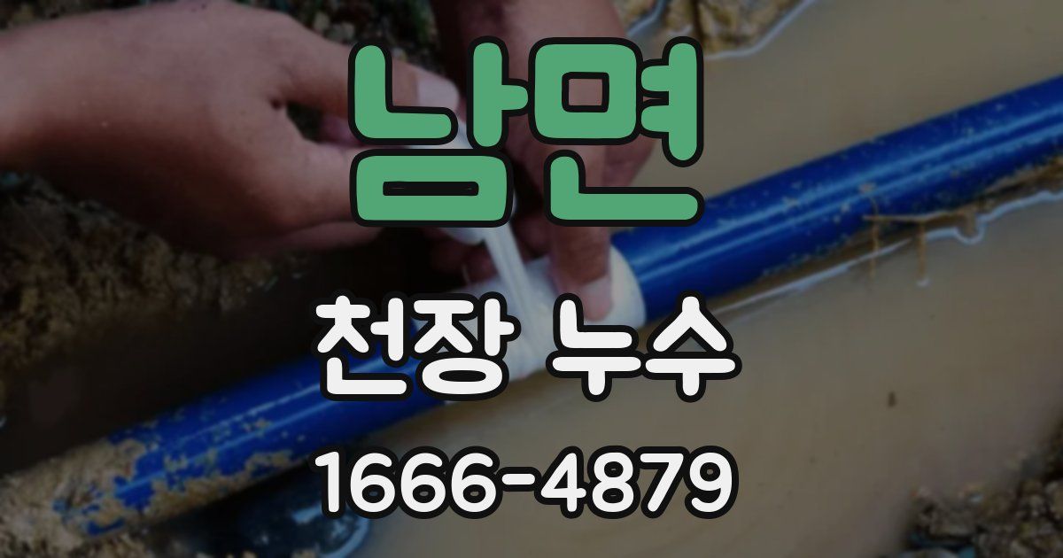 남면 천장 누수