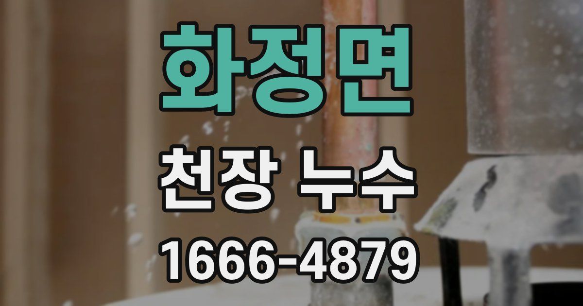 화정면 천장 누수