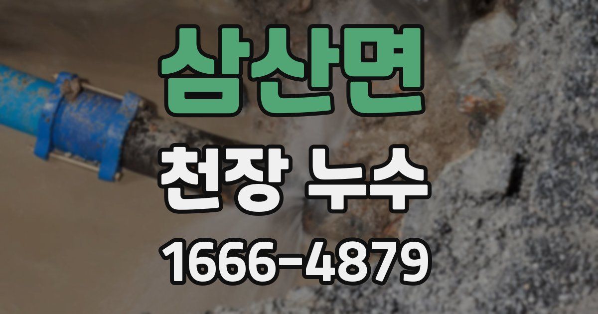 삼산면 천장 누수