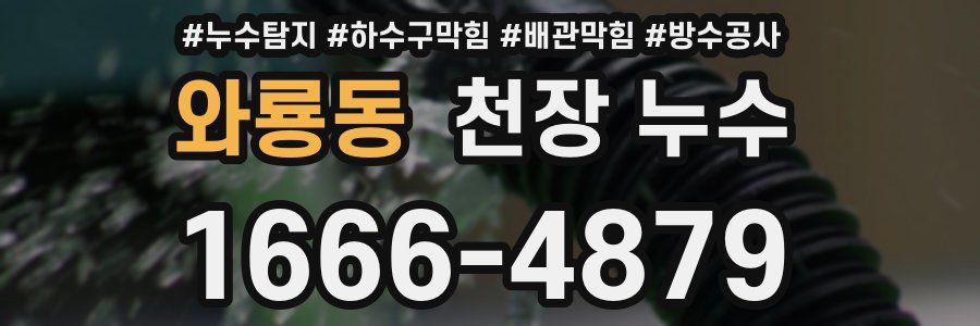 와룡동 천장 누수