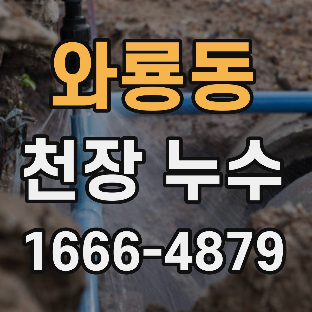 와룡동 천장 누수