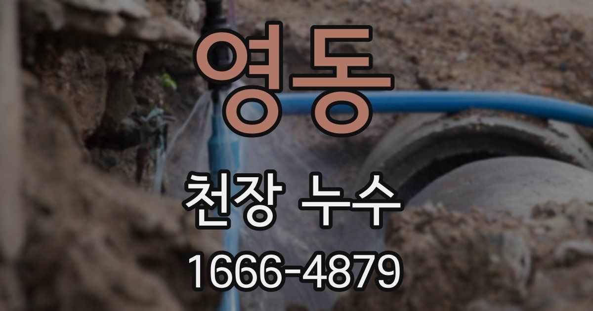 영동 천장 누수