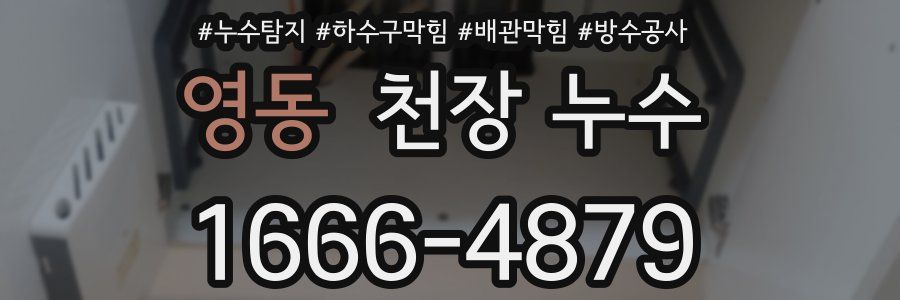 영동 천장 누수