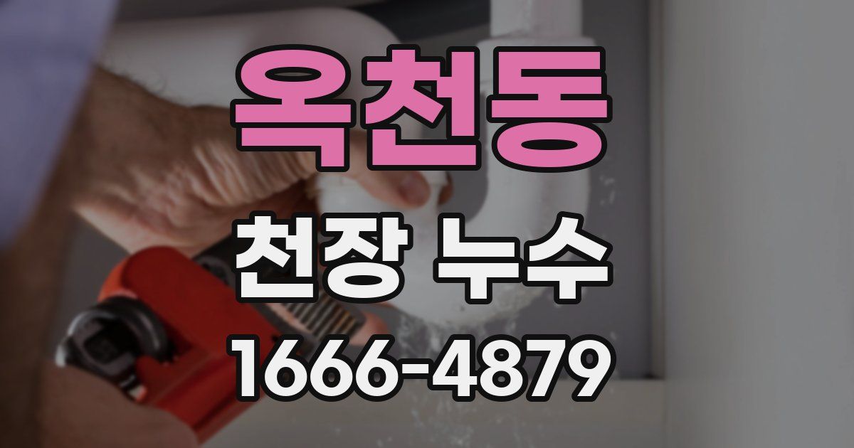 옥천동 천장 누수