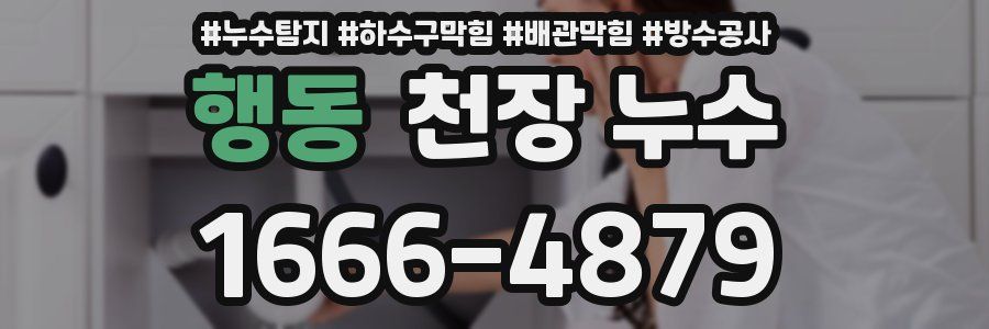 행동 천장 누수