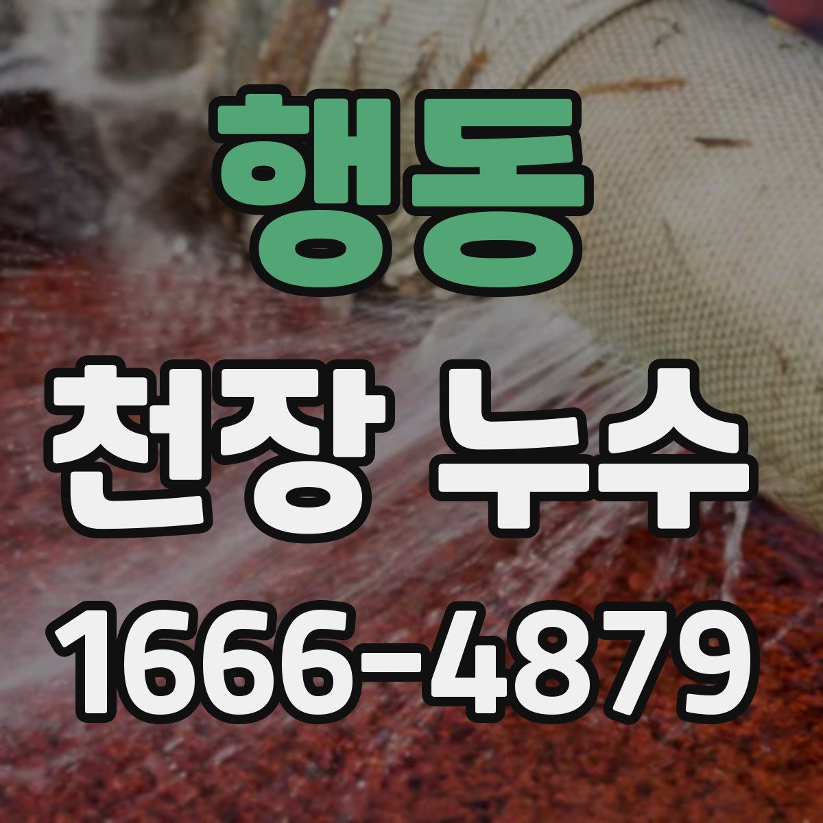 행동 천장 누수