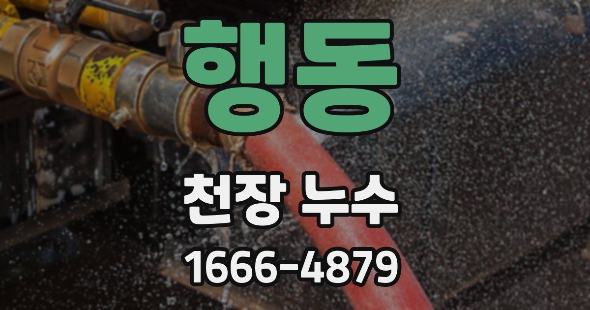 행동 천장 누수