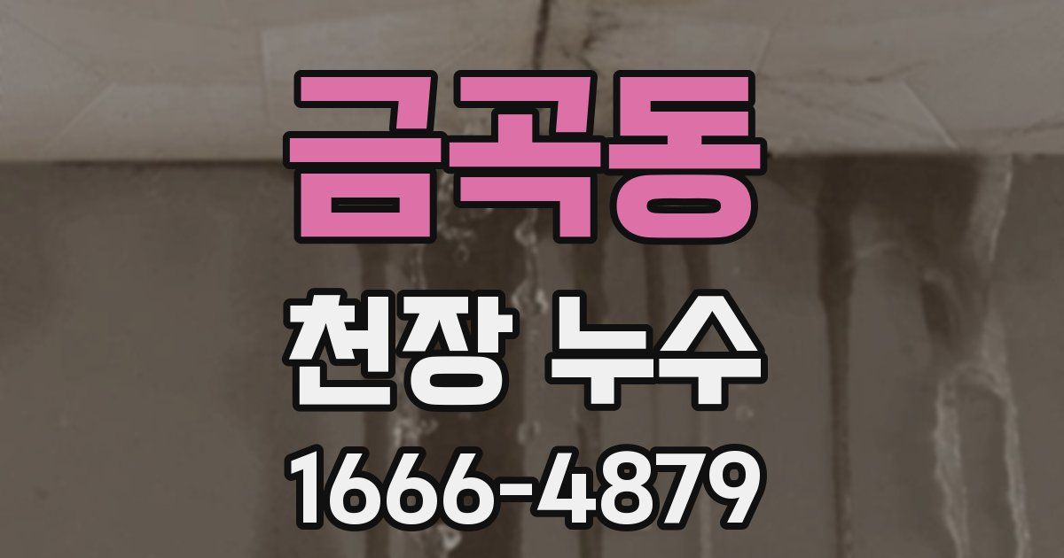 금곡동 천장 누수