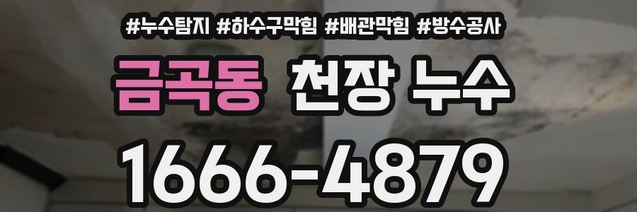 금곡동 천장 누수