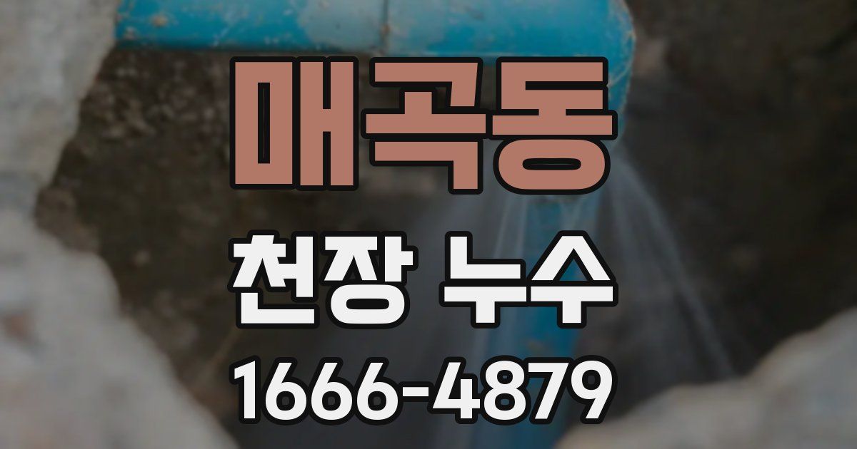 매곡동 천장 누수