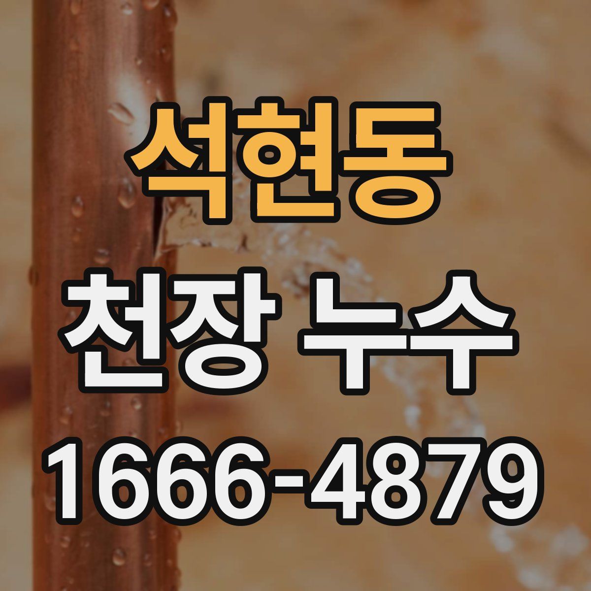 석현동 천장 누수