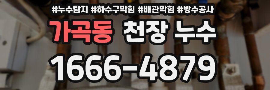 가곡동 천장 누수