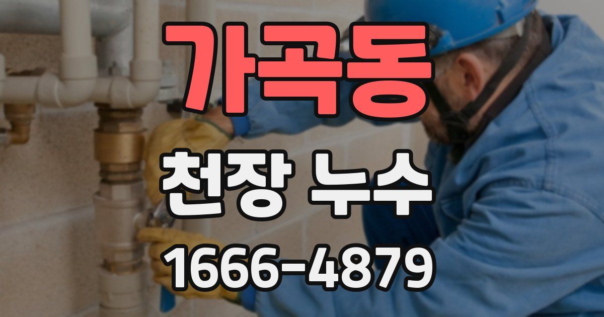 가곡동 천장 누수