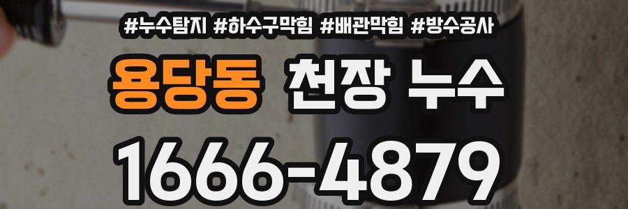 용당동 천장 누수