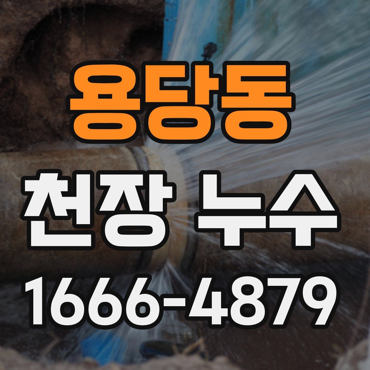 용당동 천장 누수