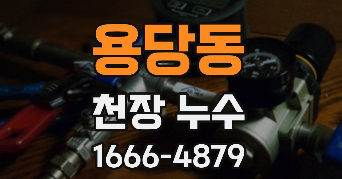 용당동 천장 누수