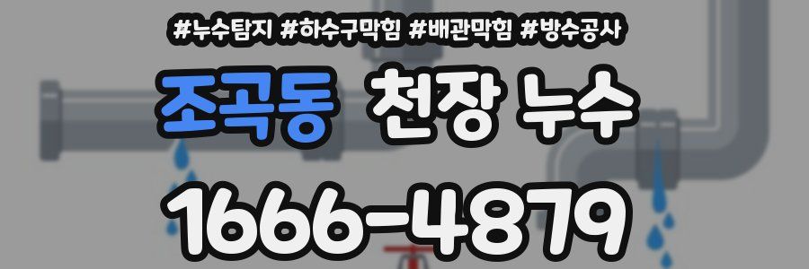 조곡동 천장 누수