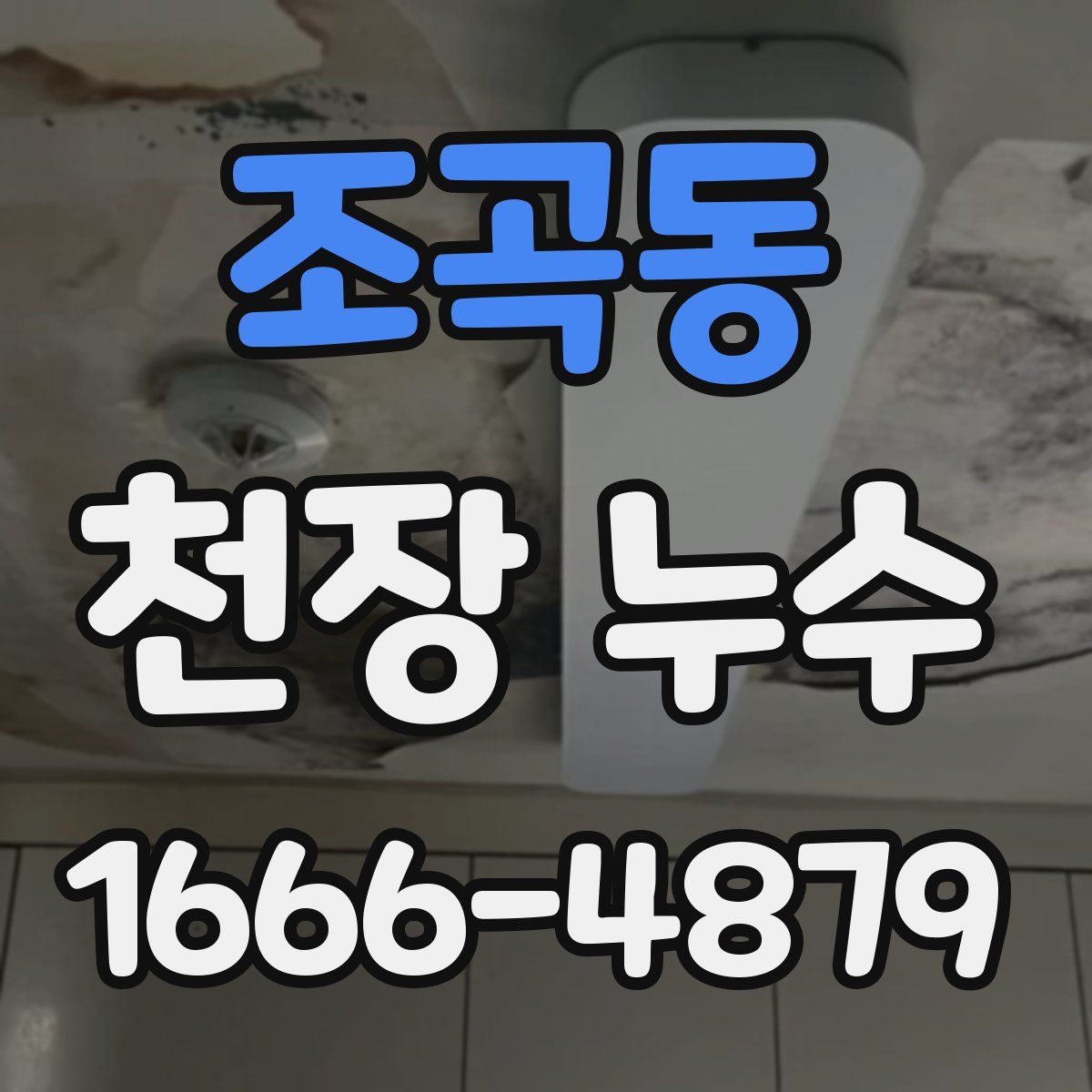 조곡동 천장 누수