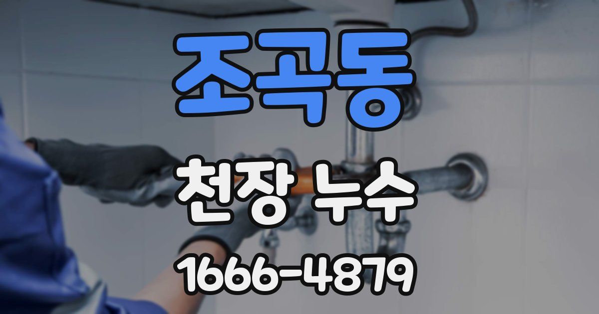 조곡동 천장 누수