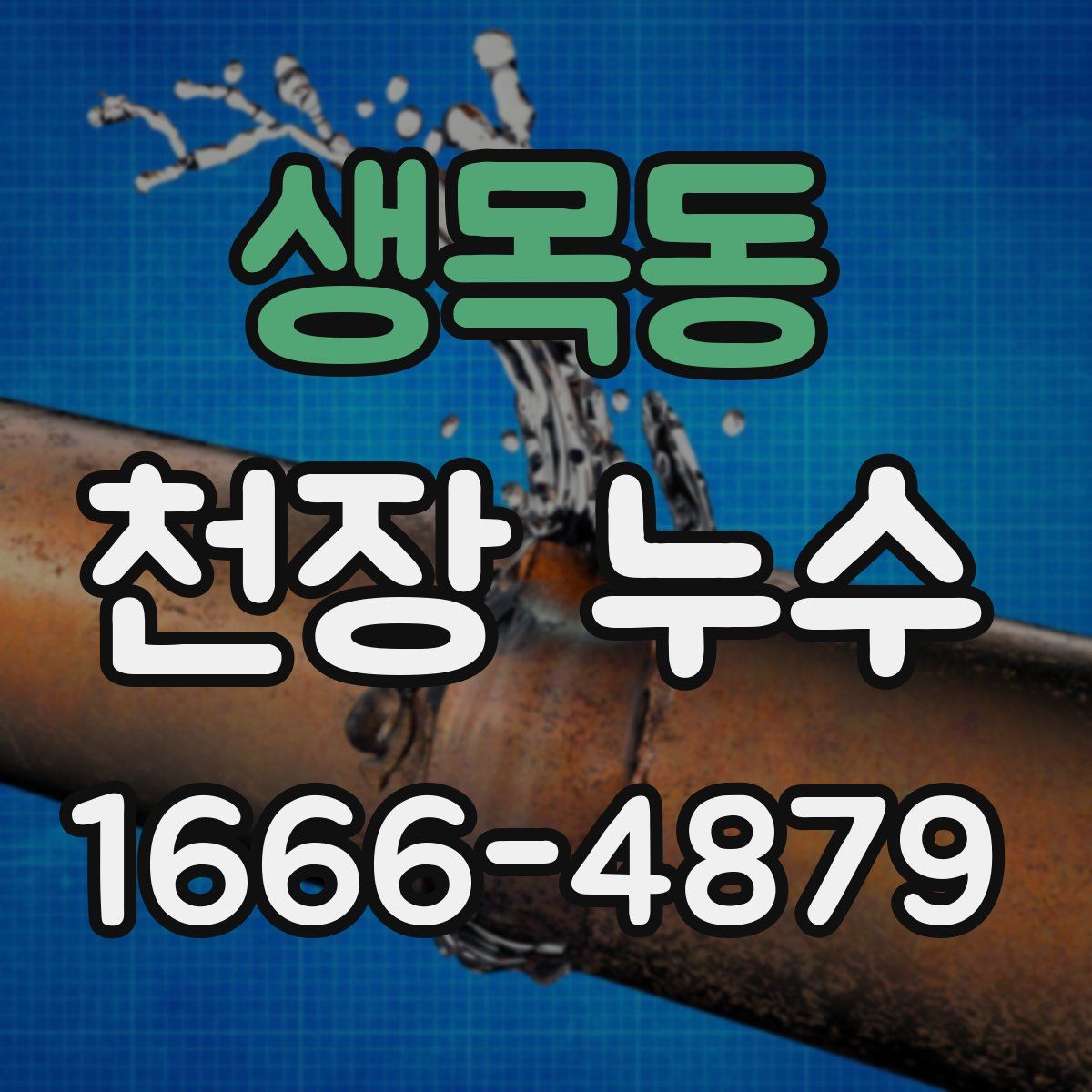 생목동 천장 누수