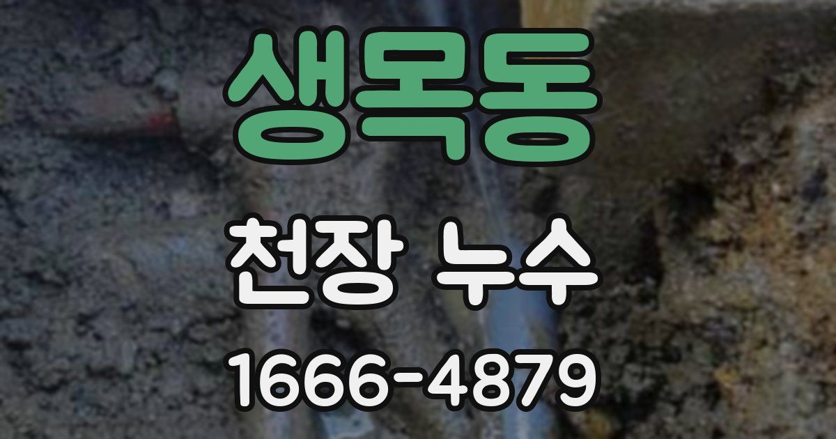 생목동 천장 누수