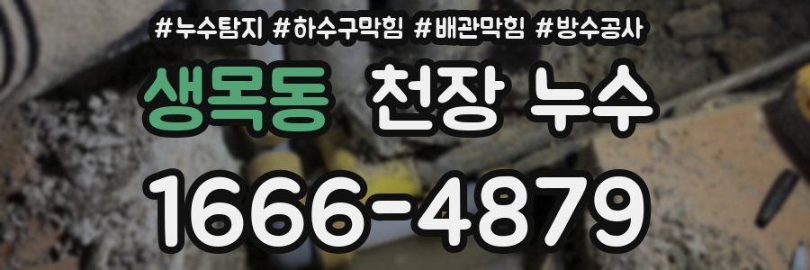생목동 천장 누수
