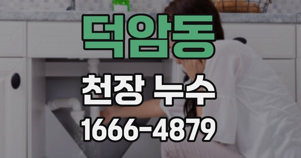 덕암동 천장 누수