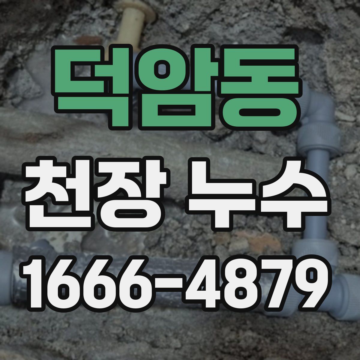 덕암동 천장 누수