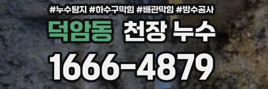 덕암동 천장 누수