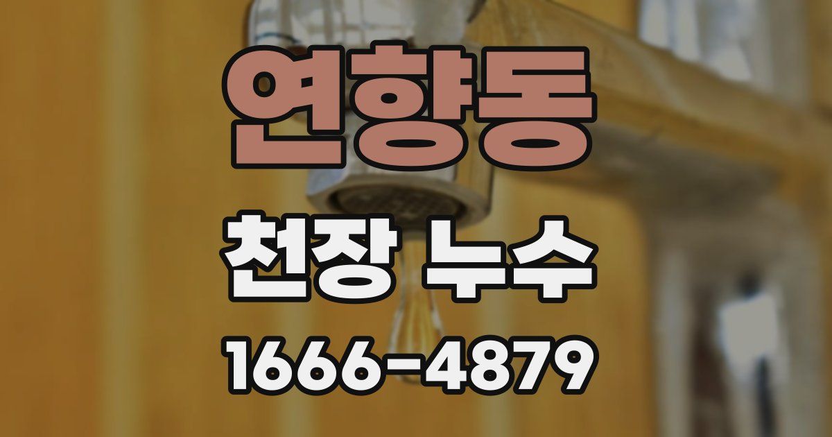 연향동 천장 누수