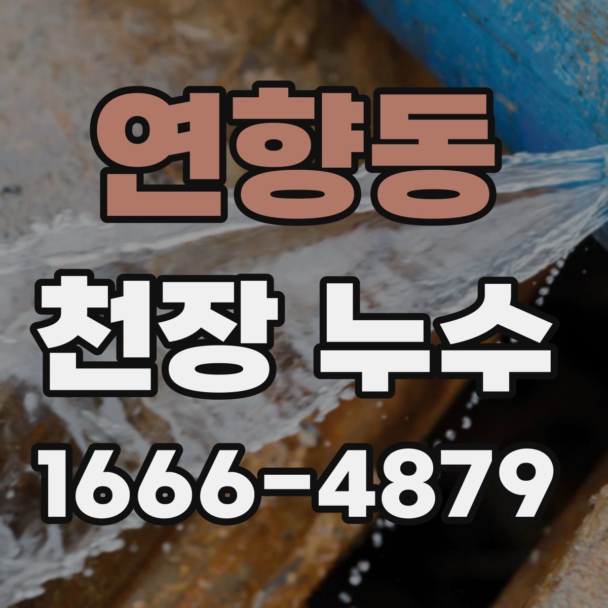 연향동 천장 누수