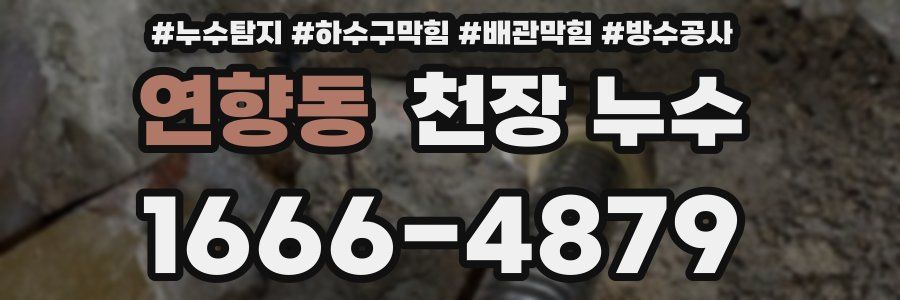 연향동 천장 누수