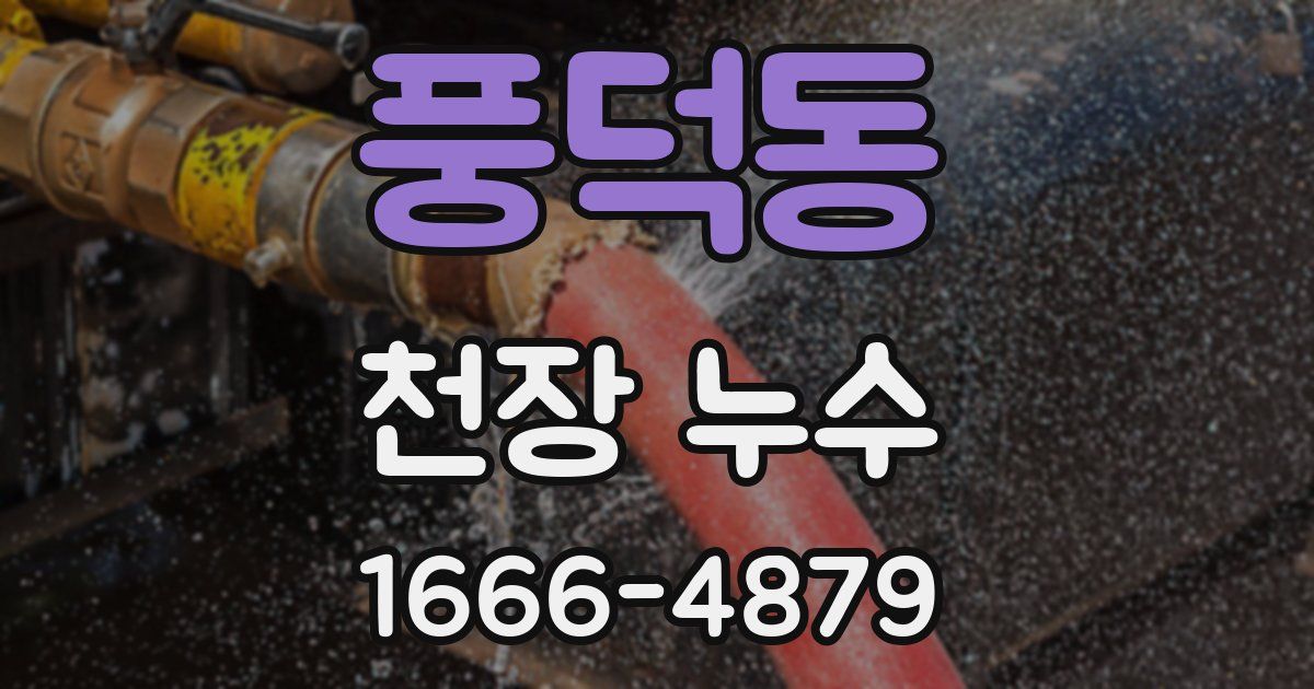 풍덕동 천장 누수