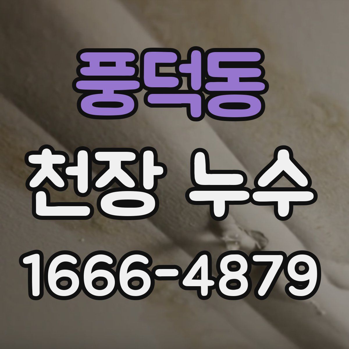 풍덕동 천장 누수