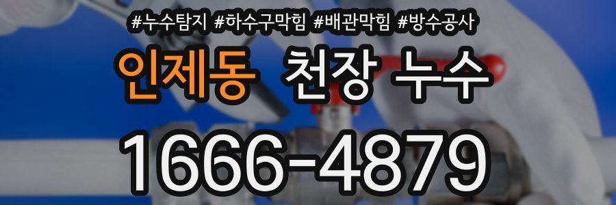 인제동 천장 누수