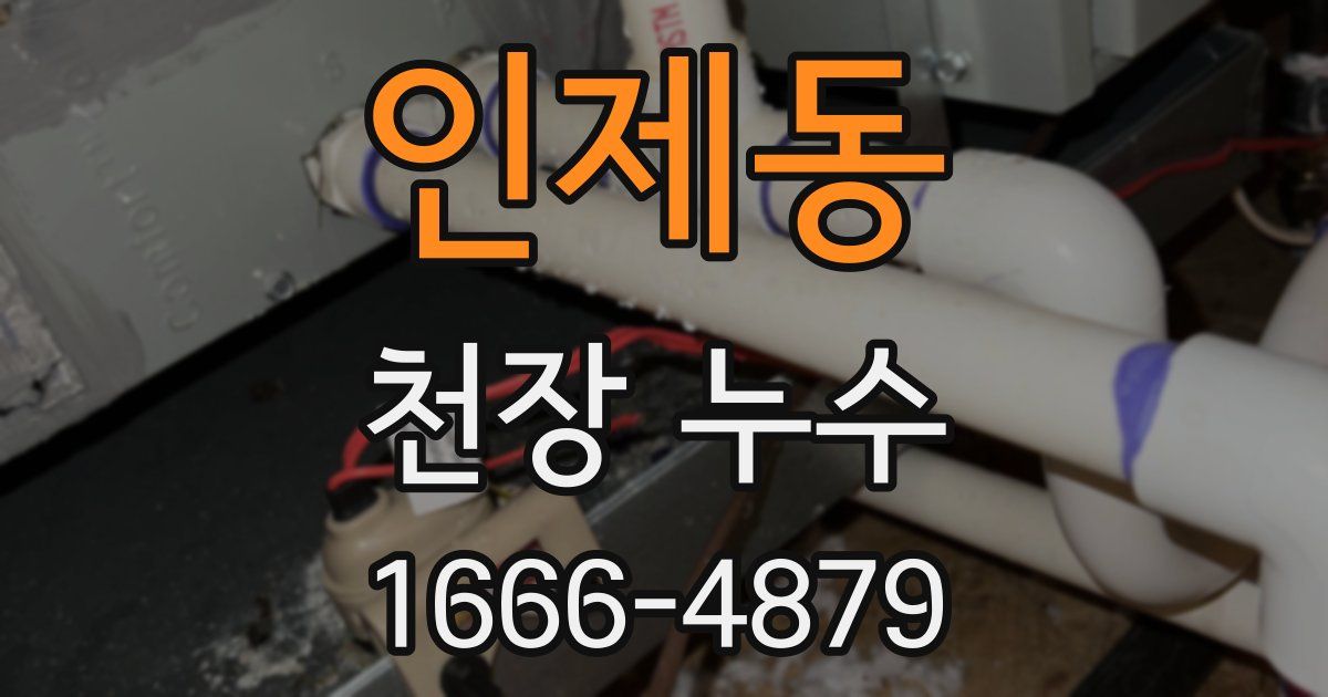 인제동 천장 누수