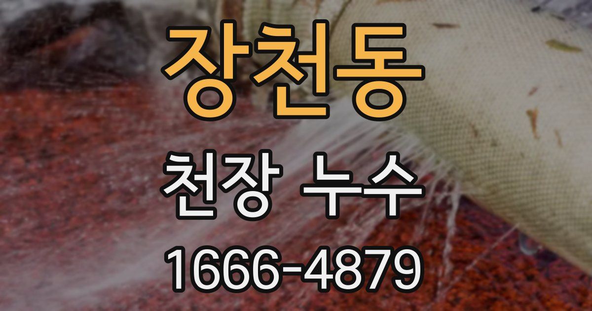 장천동 천장 누수