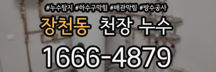 장천동 천장 누수
