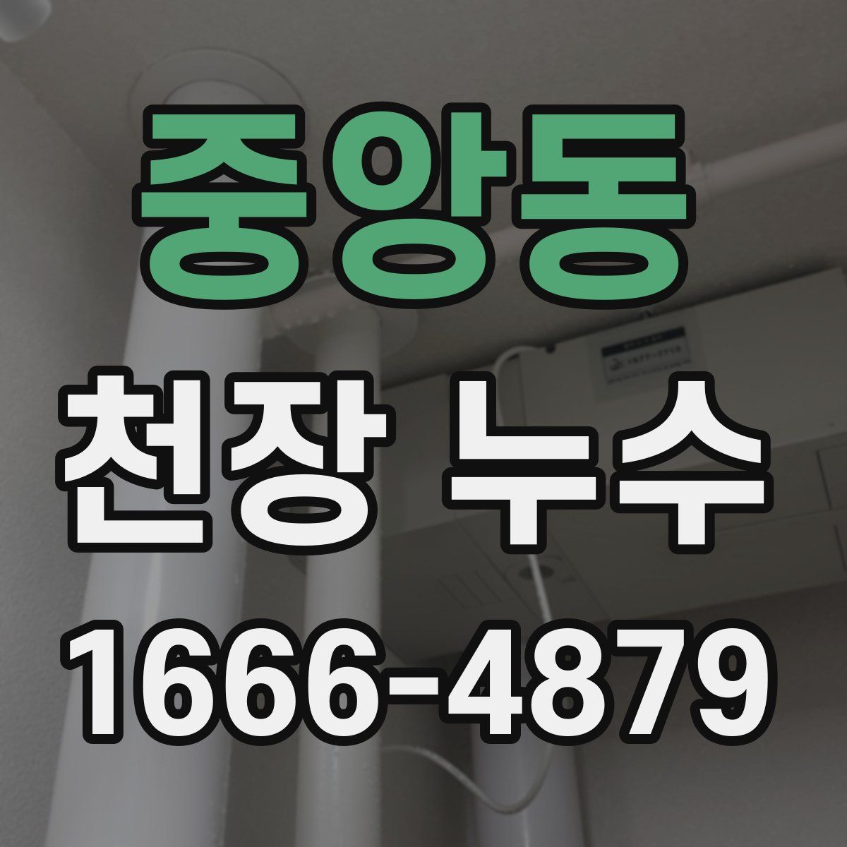 중앙동 천장 누수
