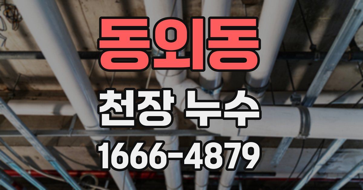 동외동 천장 누수