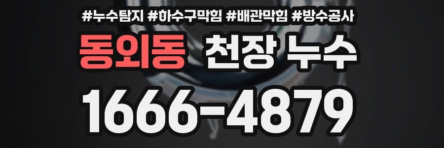 동외동 천장 누수