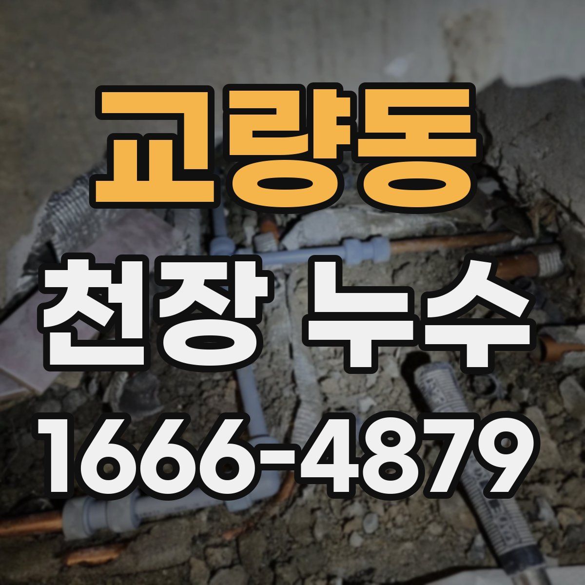 교량동 천장 누수