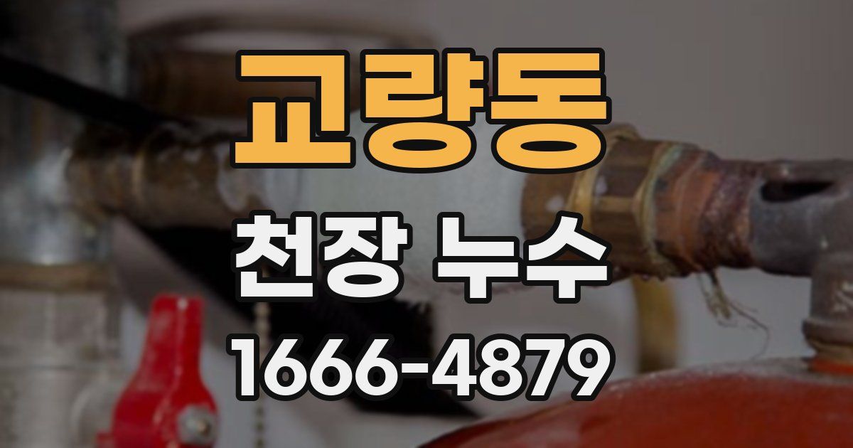 교량동 천장 누수