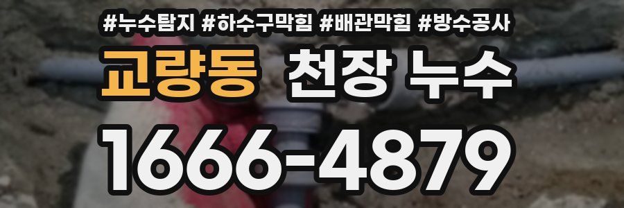 교량동 천장 누수